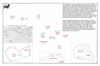 lut38  carolines west b woleai_thumb.gif